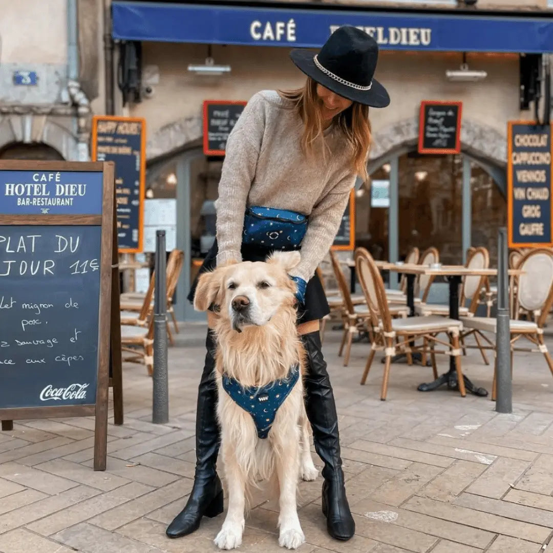 Midnight Stars Adjustable Dog Harness