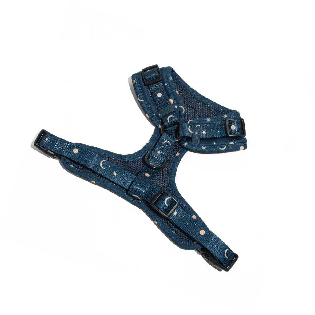 Midnight Stars Adjustable Dog Harness