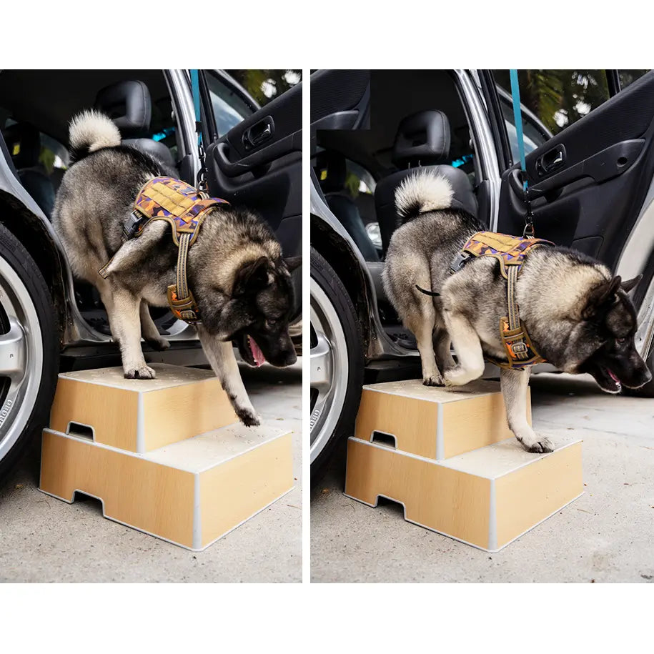 Snap & Stack Magnetic Pet Steps