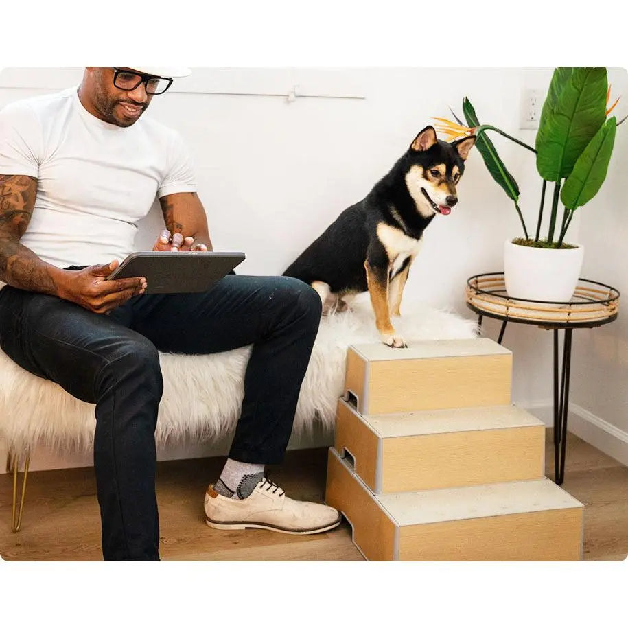Snap & Stack Magnetic Pet Steps