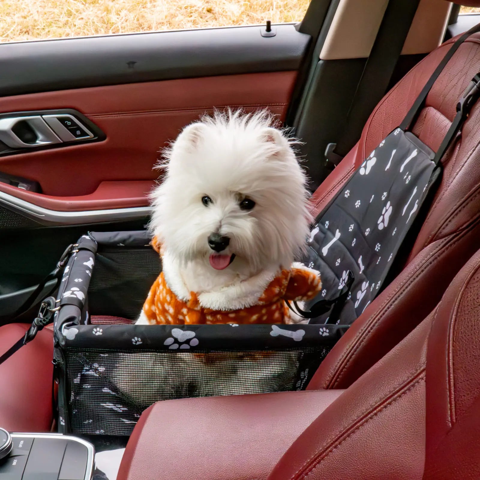 Pet Car Seat for Cats & Dogs - Foldable 15Lb Safety Booster, Breathable Mesh, Zipper, Fold & Store Fast, Easy to Clean & Assemble, Large Space, Solid Plain Design, PVC Pipe Support, Fits Front & Back Seats, Pet Travel Accessory