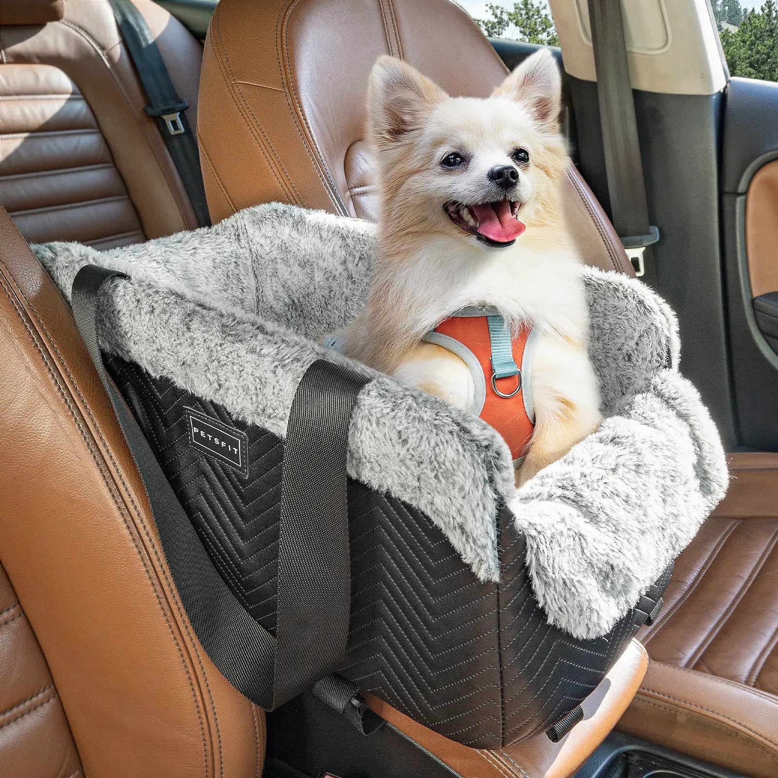 PETSFIT Center Console Dog Car Seat, Portable Pet Car Seat with Safe Protective Hooks, Luxury Dog Car Seats for Small Dogs Includes Safety Leash and Storage Pocket for Pets up to 11 Lbs (Black),Back to School Sohochic